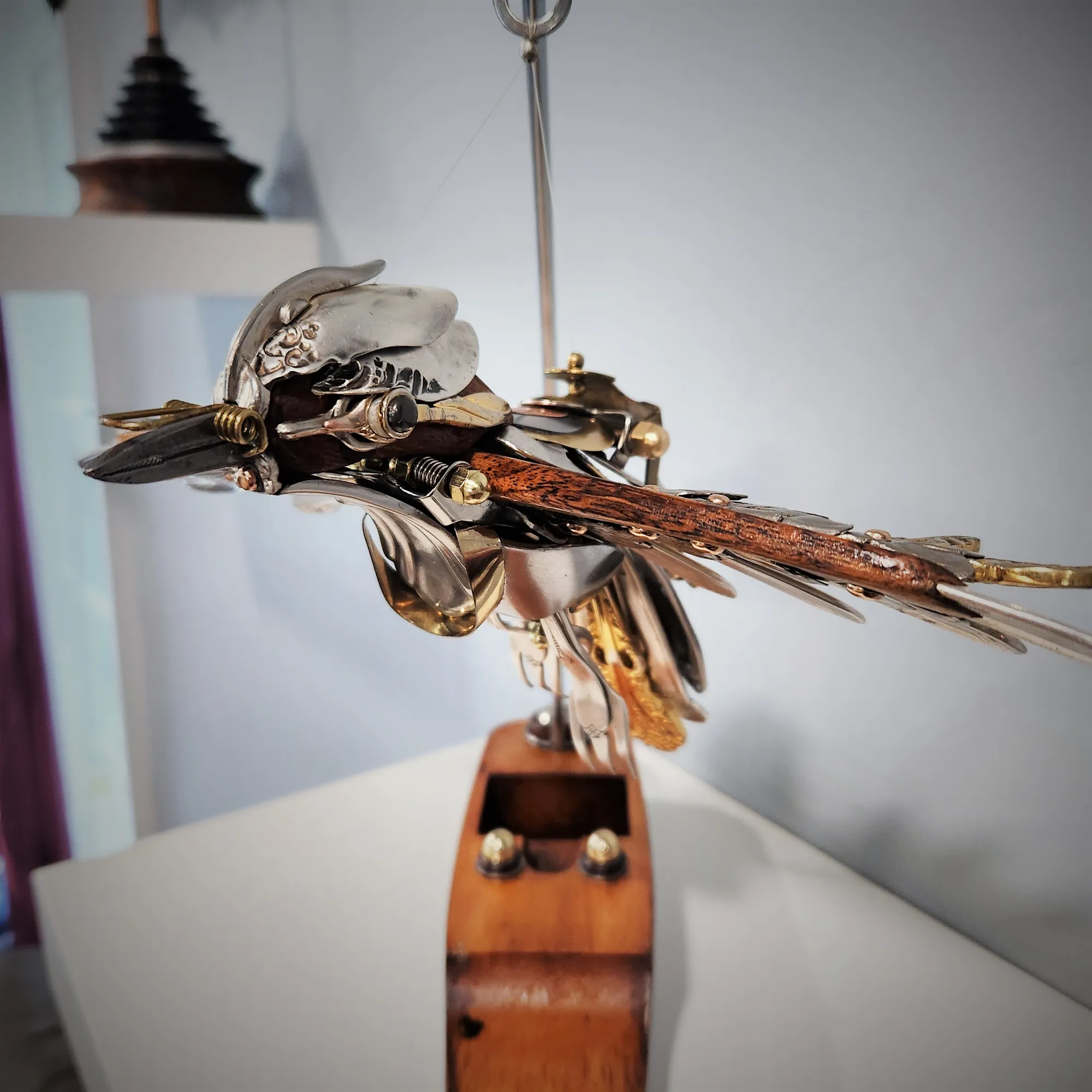 Starling by Jason Lyons